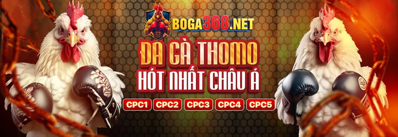 Tin tức mới nhất về tải 6fg 2026